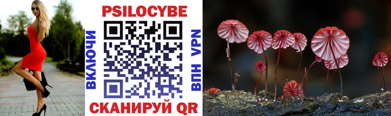 Купить где  Мензелинск  Галлюциногенные грибы Psilocybe 